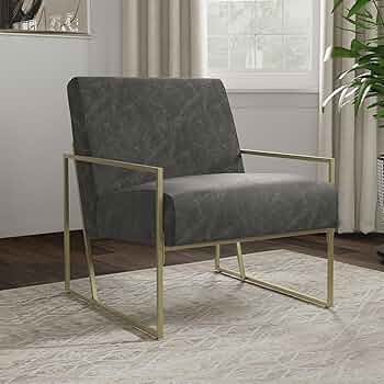 Amazon.com: eLuxurySupply Accent Chair - Modern Industrial